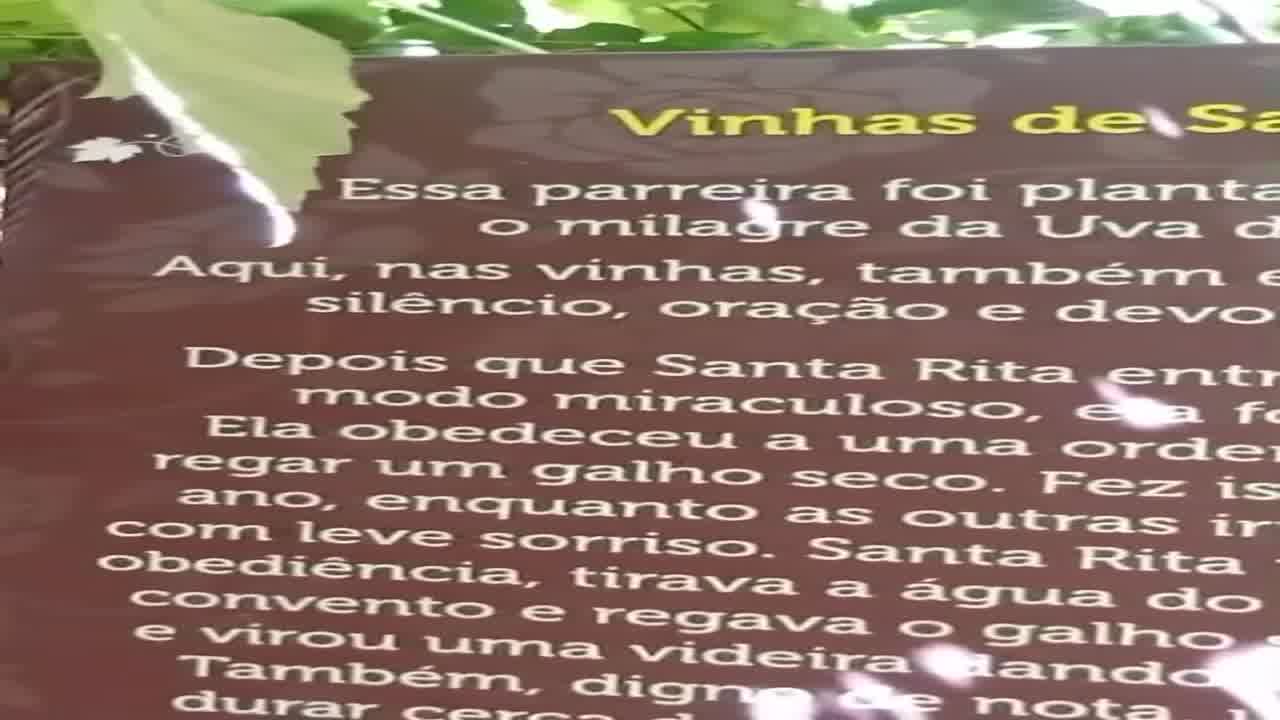 E o galho floresceu